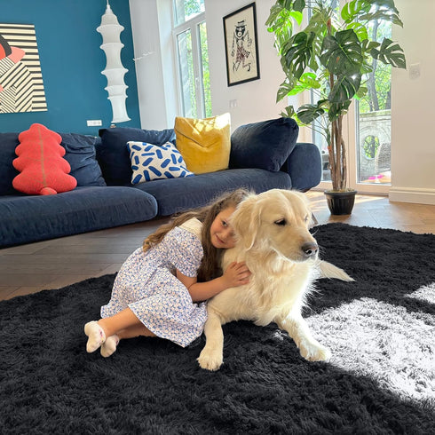 5x8 OLANLY Machine Washable Large Area Rugs for Living Room, Bedroom, Soft Fluffy Shaggy Bedside Rug, Indoor Floor