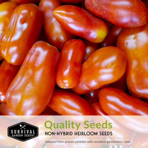 2 Pack Paste Tomato Seeds for Planting Variety with Roma & San Marzano, Heirloom Non-GMO Tomatoes for Sauce, Canning
