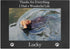 Thanks for Everything I Had a Wonderful Life - Custom Dog Engraved Anodized Aluminum Hanging/Tabletop Memorial Photo