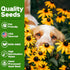 16 15,000+ Lush&Dew Pet-Friendly Heirloom Seed Bank, Gardening Gifts for Women Men, Varieties Non-GMO Seeds