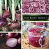Packet (1) Sow Right Seeds - Red Creole Onion Seeds for Planting - Non-GMO Heirloom with Instructions to Plant a Home