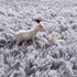 FJZFING 6x6 Grey Round Rug Ultra-Soft Plush Modern Circle Area Rug for Kid's Bedroom, Fluffy Shag Circular Rug