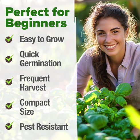 Pack 1,750+ HOME GROWN Non GMO Genovese Basil Seeds High Germination Heirloom Seeds (Ocimum basilicum) Herb Seeds