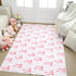 Drydiet 4 x 6 ft Large Bow Welcome Mat Rug Coquette Doormat