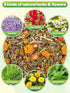 14 Oz 6 Chicken Nesting Herbs - Natural Nesting Box Feed Herbs in Dried Flower & Herbs for Freshening Bedding Chicken