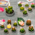 Handmade Succulent Cactus Candles for Birthday Party, Wedding, Spa Home Decoration (12 Packs-2)