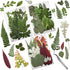 Cinvo 63 Pcs Real Dried Pressed Leaves - Natural Dried Leaf for Candle Resin Jewelry Crafts Making