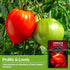 (1 Pack) Pink Oxheart Tomato Seeds for Planting Indeterminate Heirloom Variety Large, Meaty, Heart-Shaped Tomatoes