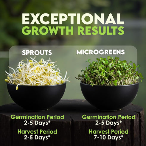 1lb Nature Jims Sprouts Organic Salad Mix Non-GMO Microgreen Seeds, Perfect for Growing Nutritious Organic Broccoli