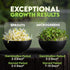 1lb Nature Jims Sprouts Organic Salad Mix Non-GMO Microgreen Seeds, Perfect for Growing Nutritious Organic Broccoli