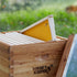 10 6-1/4 inch Honey Keeper Assembled Beehive Frames with Waxed Natural Foundations for Beekeeping