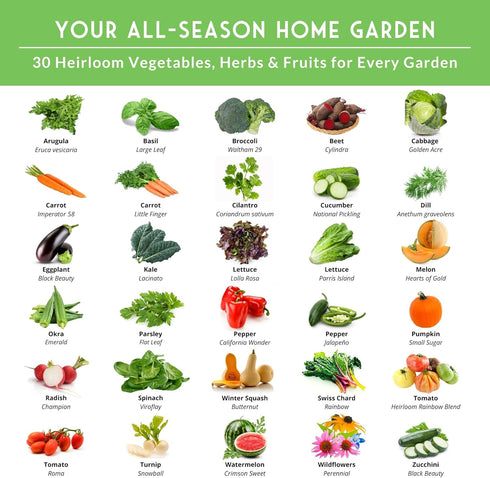 30 Pack (18,500+) Home Garden Vegetable Seeds Variety Heirloom Seed Vault Kit for Planting Non-GMO Vegetables, Herbs