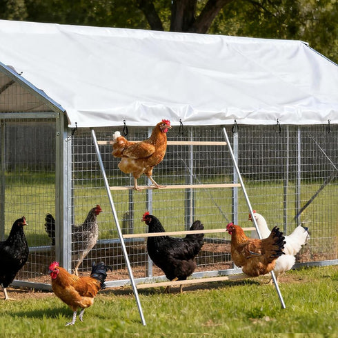 ANNDING 55 Inch Large Chicken Roosting Bars, Chicken Perch for Coop with Metal Frame, Sturdy Roosting Ladder for Hens