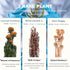3Pcs Dried Flower Decor,Knick Knacks for Shelves,Cool Stuff for Bookshelf,Small Plants Decor for Office Shelves,Natural
