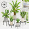 NQW 5 Pack Metal Plant Stand Indoor Outdoor,Indoor Plant Stands for Patio Rustproof,Heavy