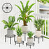 NQW 5 Pack Metal Plant Stand Indoor Outdoor,Indoor Plant Stands for Patio Rustproof,Heavy
