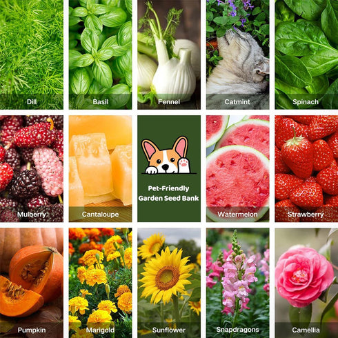 16 15,000+ Lush&Dew Pet-Friendly Heirloom Seed Bank, Gardening Gifts for Women Men, Varieties Non-GMO Seeds