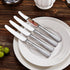 KEAWELL Premium 9.5" Louis Dinner Knives, Set of 4, Stainless Steel, Dishwasher Safe, Serrated Knives