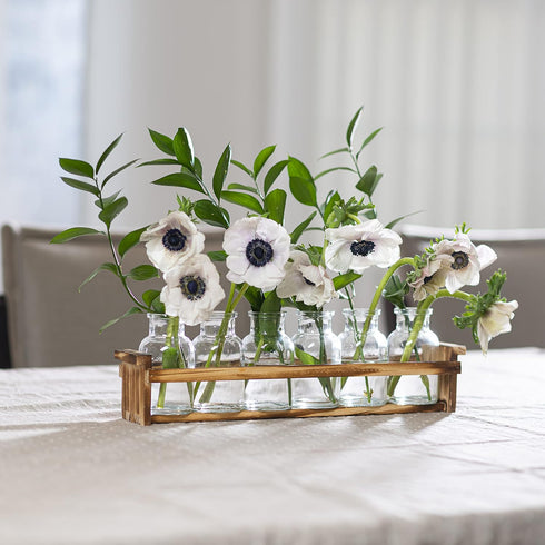 6 Beautiful Glass Flower Vase with Wooden Plant Stand & Bud Vases, Decorative Glass Bottles for Home Dcor, Dining Table