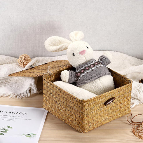 Hipiwe Wicker Shelf Basket Bin with Lid Square Handwoven Seagrass Box Decorative Household Storage Container