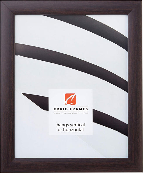 Craig Frames 232477781620N Picture/Poster Frame, 1-Inch Wide, Smooth Wood Grain Finish, 16 by 20-Inch, Brazilian Walnut