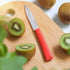 Opinel Les Essentials+ No. 313 Serrated Paring Knife, Corrosion Resistant, Dishwasher Safe, Made in France