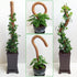 Soupiar 2-Pack 28" (13.2ft Bendable Moss Pole for Monstera, Rust-Free Aluminum Core Plant Support Stakes, Sturdy Stakes