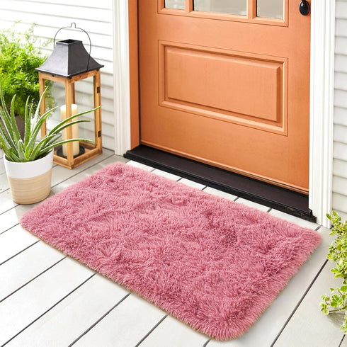 Noahas Fluffy Blush Rugs for Bedroom Girls,Door Mat Indoor Entrance,2x3 Shaggy Small