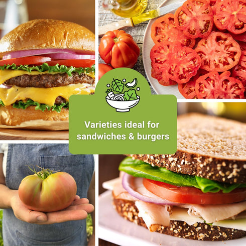 Sow Right Seeds - Beefsteak Style Tomato Seed Collection for Planting - Beefsteak, Kellogg's, Cherokee Purple, Mortgage