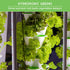 Hydroponics Vegetable Seed Collection for Planting - Watercress, Spinach, Siberian Kale, Swiss Chard, Buttercrunch