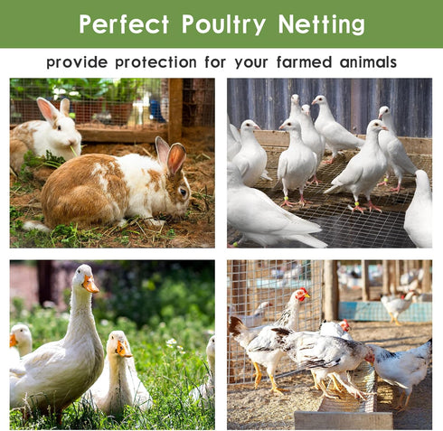 TONGMO 24" 50' 1inch 19 x Hardware Cloth, Mesh Galvanized Chicken Wire Fence, Gauge Welded Wire Roll,Garden Fence