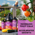 4-Ounce Microbe Life Hydroponics Starter Kit with Sample Size Bottles of Photosynthesis Plus, Nourish-L, Vegetable
