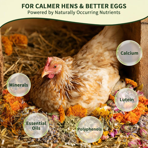 64 oz 11 BGraceyy Chicken Nesting Herbs Natural Dried Herb Blend with Marigold for Chicken Coop & Roost Refresh