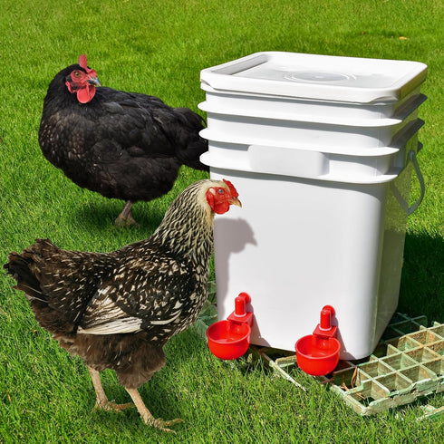 (8 Pack) Chicken Waterer Cups | Automatic Large Chicken Water Feeder for Chicks, Quails, Goose, Bunny and Birds |