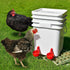 (24 Pack) Chicken Waterer Cups | Automatic Large Chicken Water Feeder for Chicks, Quails, Goose, Bunny and Birds |