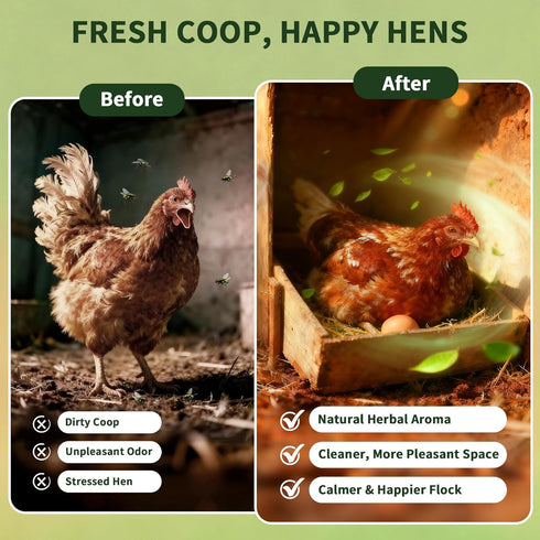 16 oz 11 BGraceyy Chicken Nesting Herbs Natural Dried Herb Blend with Marigold for Chicken Coop & Roost Refresh