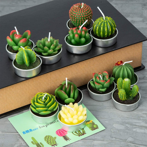 Handmade Succulent Cactus Candles for Birthday Party, Wedding, Spa Home Decoration (12 Packs-2)