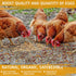 DreamdaMoonnly 20oz Vacuum-Packed 8 Chicken Nesting Box Herbs - Natural Blend of Dried Flowers & Herbs - Bulk Herbs