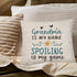 PUHEI 18x18, Grandma Pillow Covers Grandma Gifts from Grandchildren, Best Grandma Gifts, Grandma Gifts Ideas, Grandma
