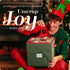 Handy Laundry Christmas Ornament Storage Box, Holds up to 64 Holiday Ornaments, Adjustable Dividers, Green