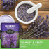 (1 Pack) Munstead English Lavender Seeds for Planting Compact Dwarf Hardy Perennial Herb for Indoor or Outdoor Gardens