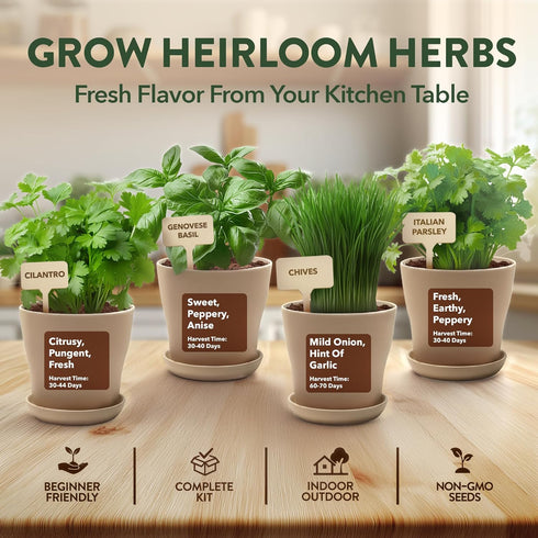 4 HOME GROWN Herb Garden Planter Indoor Kit Unique Christmas Gift for Adults, Men, & Women - Grow Heirloom Herb Seeds