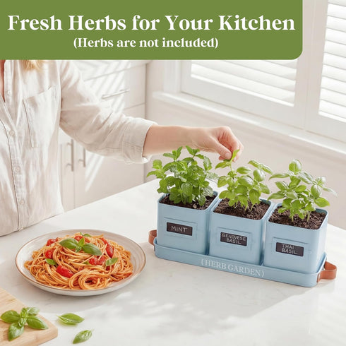 Set PERFNIQUE Indoor Herb Garden, Herb Garden Planter with Tray, Farmhouse Indoor Plant Pots, Windowsill Herb Garden