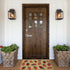Welcome Mats for Front Door Outdoor Entry, Strawberries Doormat, Funny Non Slip Mat for Home Indoor Rugs 17x30 Inch