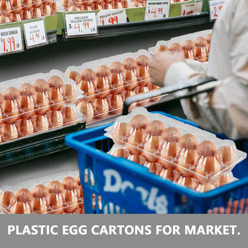YIFIHGE 120PCS Egg Cartons Cheap Bulk, Clear Egg Cartons for Chicken Eggs, Reusable Chicken Egg Container Bulk Egg