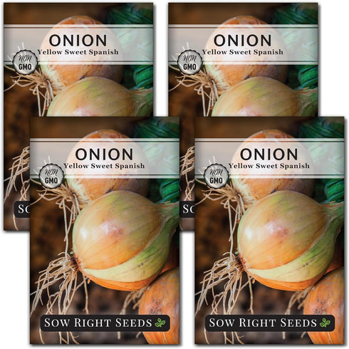 Sow Right Seeds - Yellow Spanish Sweet Onion Seeds for Planting -