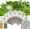 LYKOCLEAN Seeds for iDOO Hydroponics Growing System, 7 Seed pods, 350+ Seeds