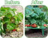 Iceyyyy 5 Pack 4 Strawberry Plant Support - Strawberry Growing Racks with Sturdy Legs - Strawberry Growing Frame Keep