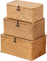 Nonam Storage Basket with Lid, Natural Seagrass Bin with Lid Set of 3,