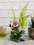 Ebros Mythical Goddess Green Earth Pixie Dust Fairy Statue, 6" Tall Whimsical Tribal Gaia Faerie Sculpture